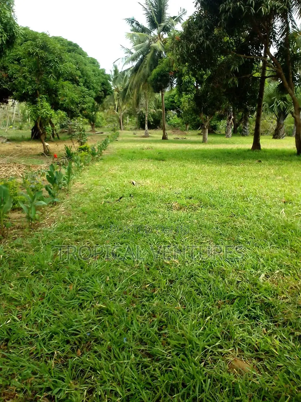 Waterfront Land for Sale in Ramisi