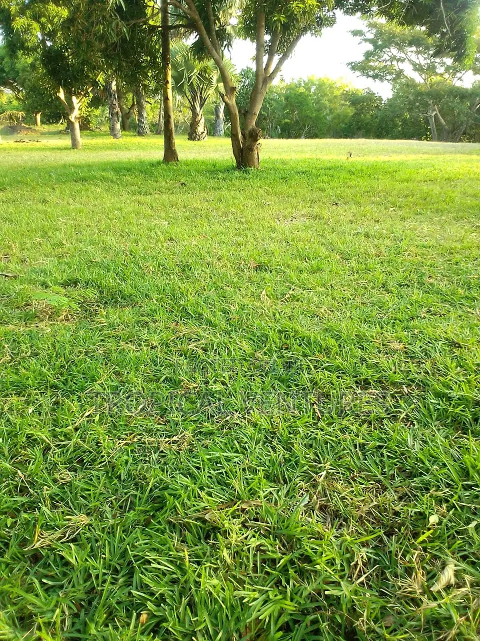 Waterfront Land for Sale in Ramisi