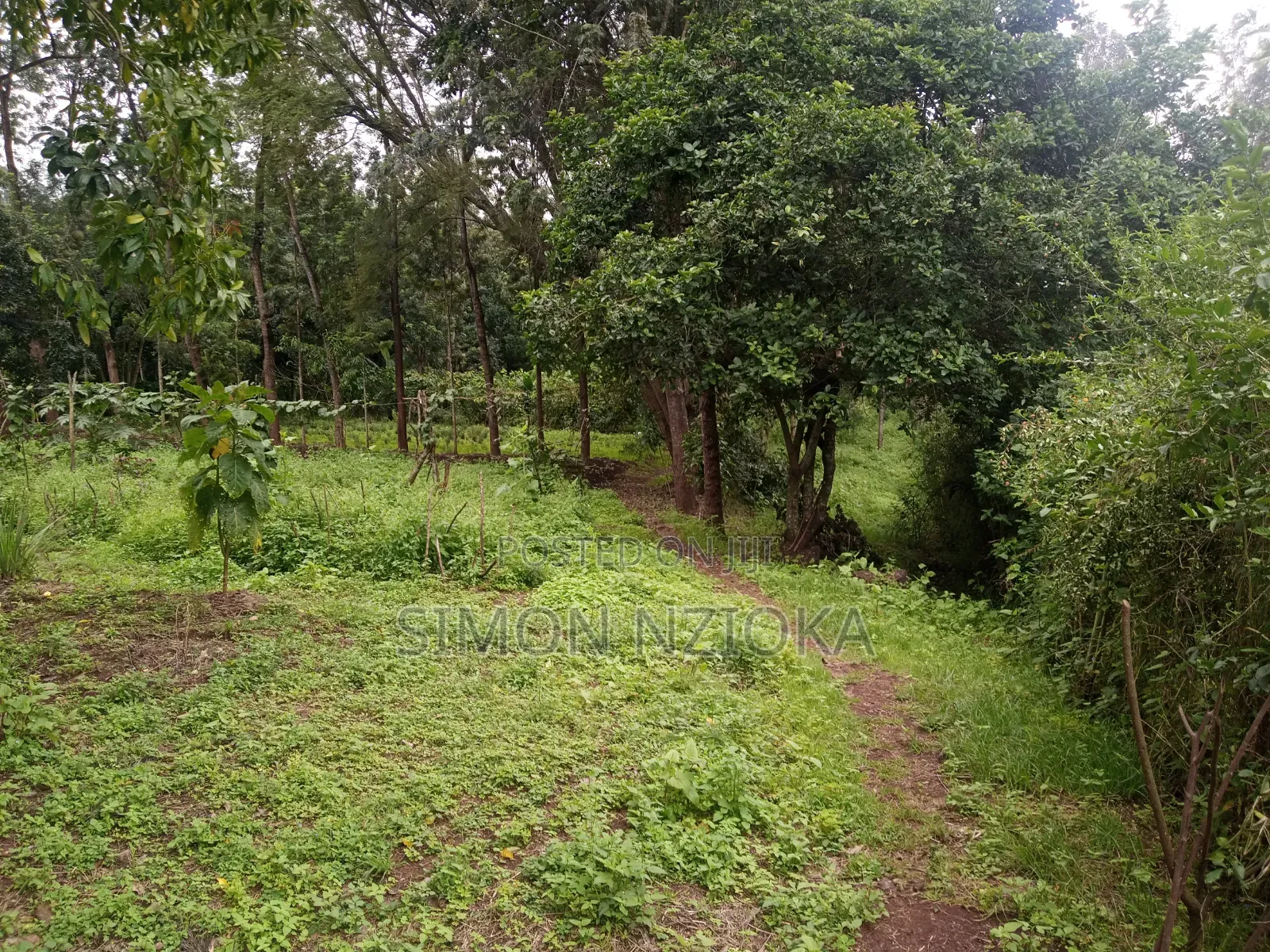 1 Acre for Sale in Karen, Nairobi in Karen C