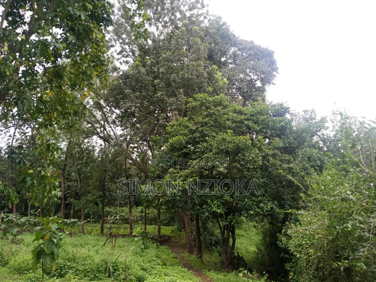 1 Acre for Sale in Karen, Nairobi in Karen C