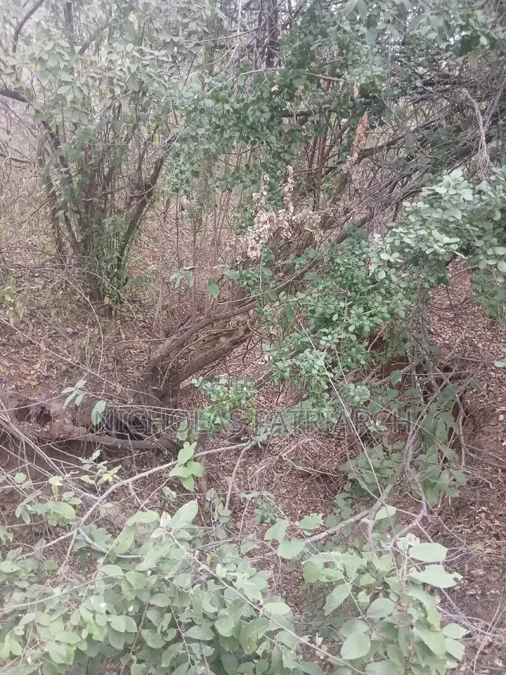 7 Acres Mutomo-Kitui Selling at Per Acre. in Mutomo