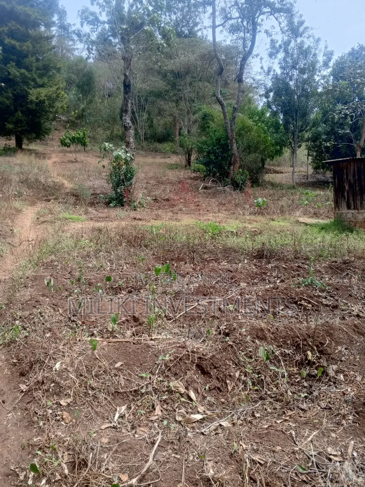 5.2 Acres Land on Sale at Meru -Chuka in Maua