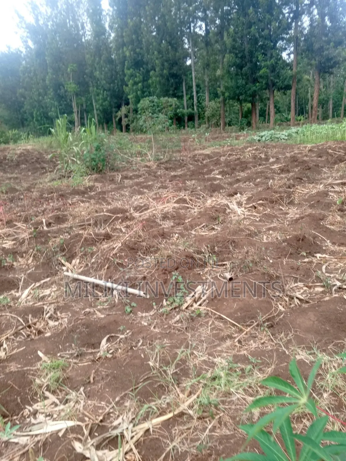 5.2 Acres Land on Sale at Meru -Chuka in Maua