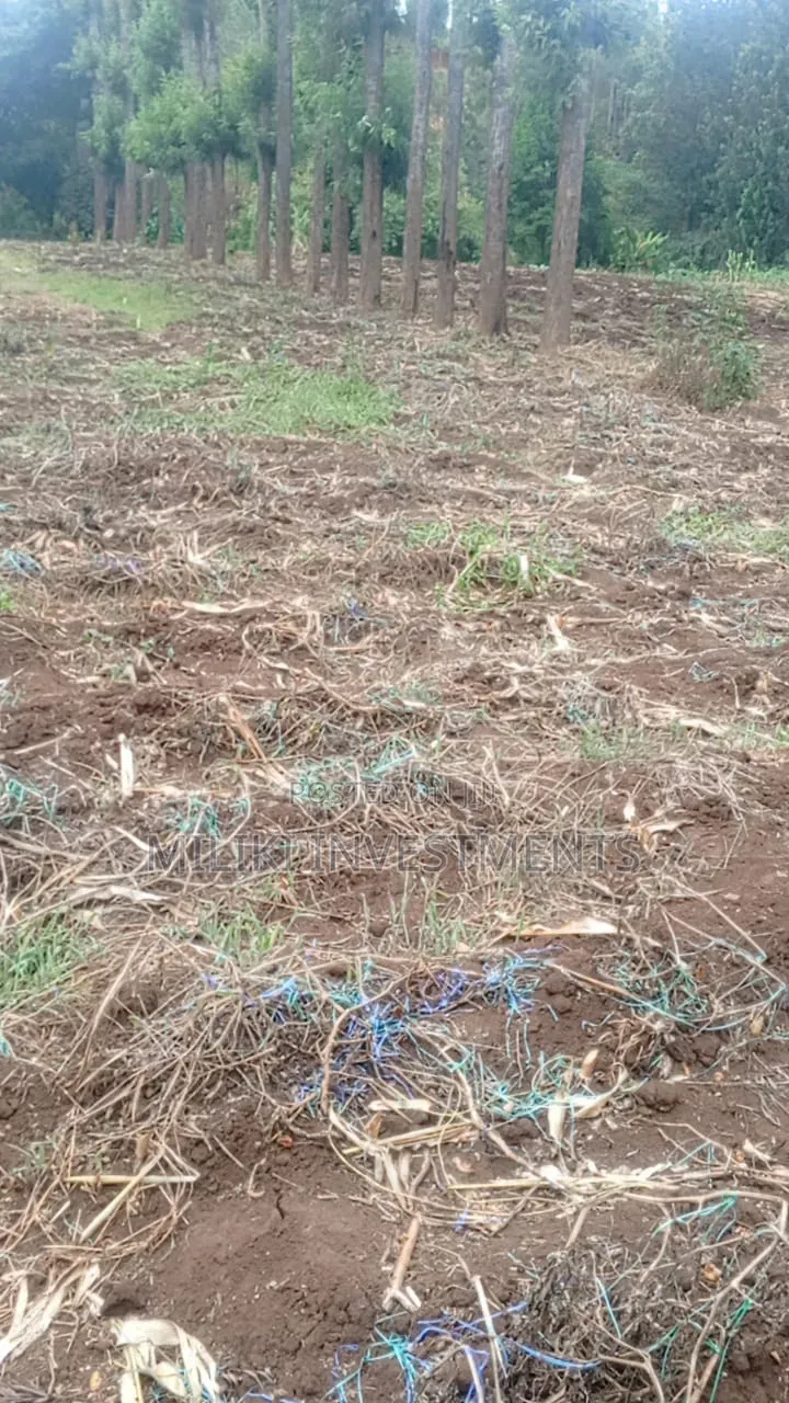 5.2 Acres Land on Sale at Meru -Chuka in Maua
