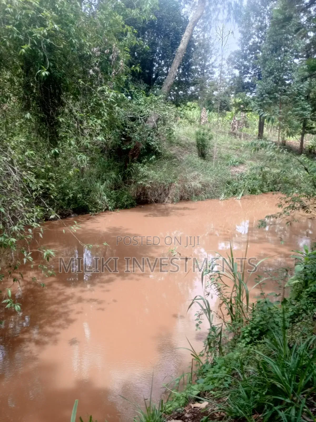 5.2 Acres Land on Sale at Meru -Chuka in Maua