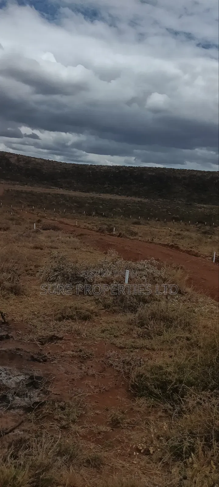 50x100 Prime Plots. Kikuyu Mikuyuini in Thogoto