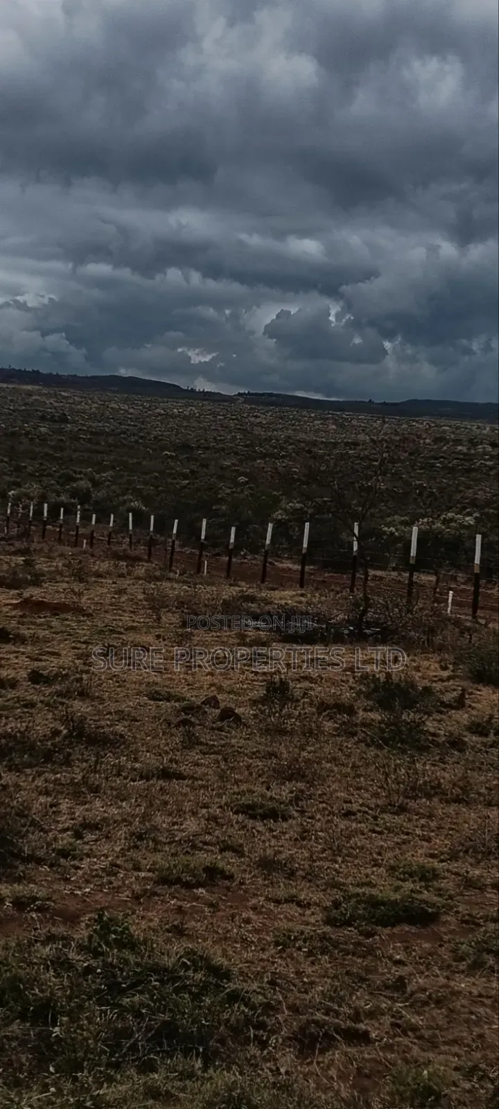 50x100 Prime Plots. Kikuyu Mikuyuini in Thogoto