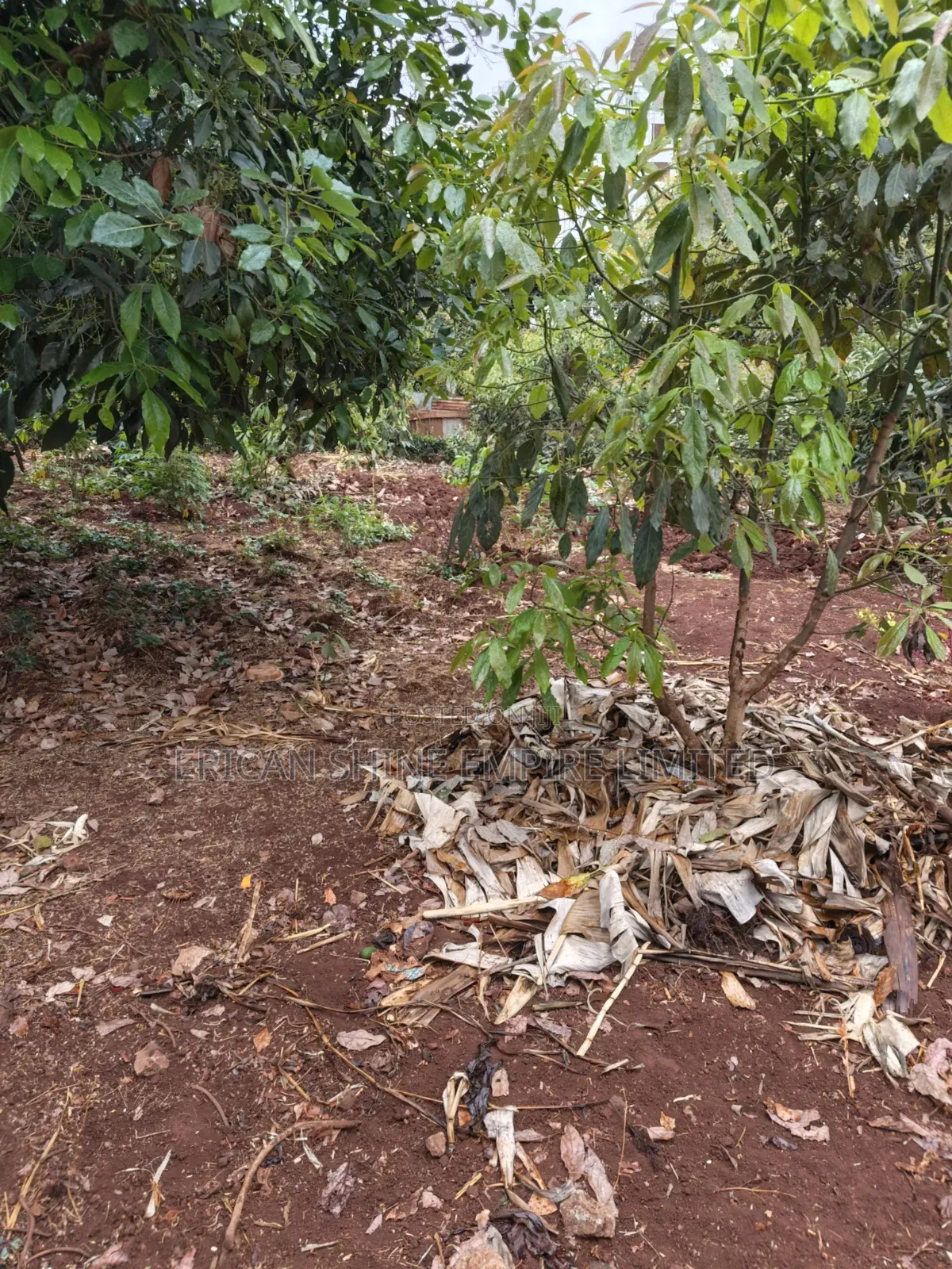 3/4 Prime Land for Lease in Thindigua/Kasarini