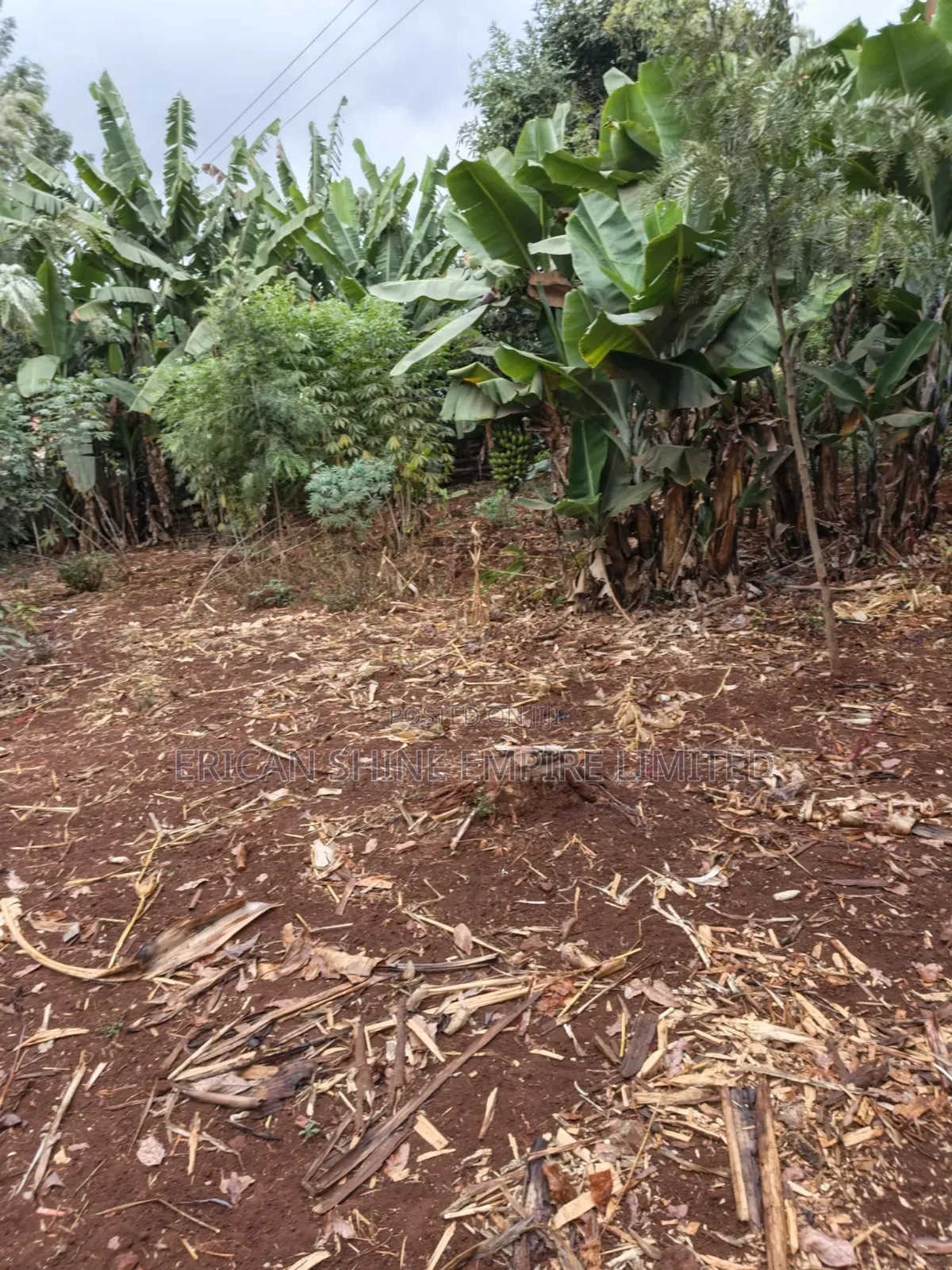 3/4 Prime Land for Lease in Thindigua/Kasarini