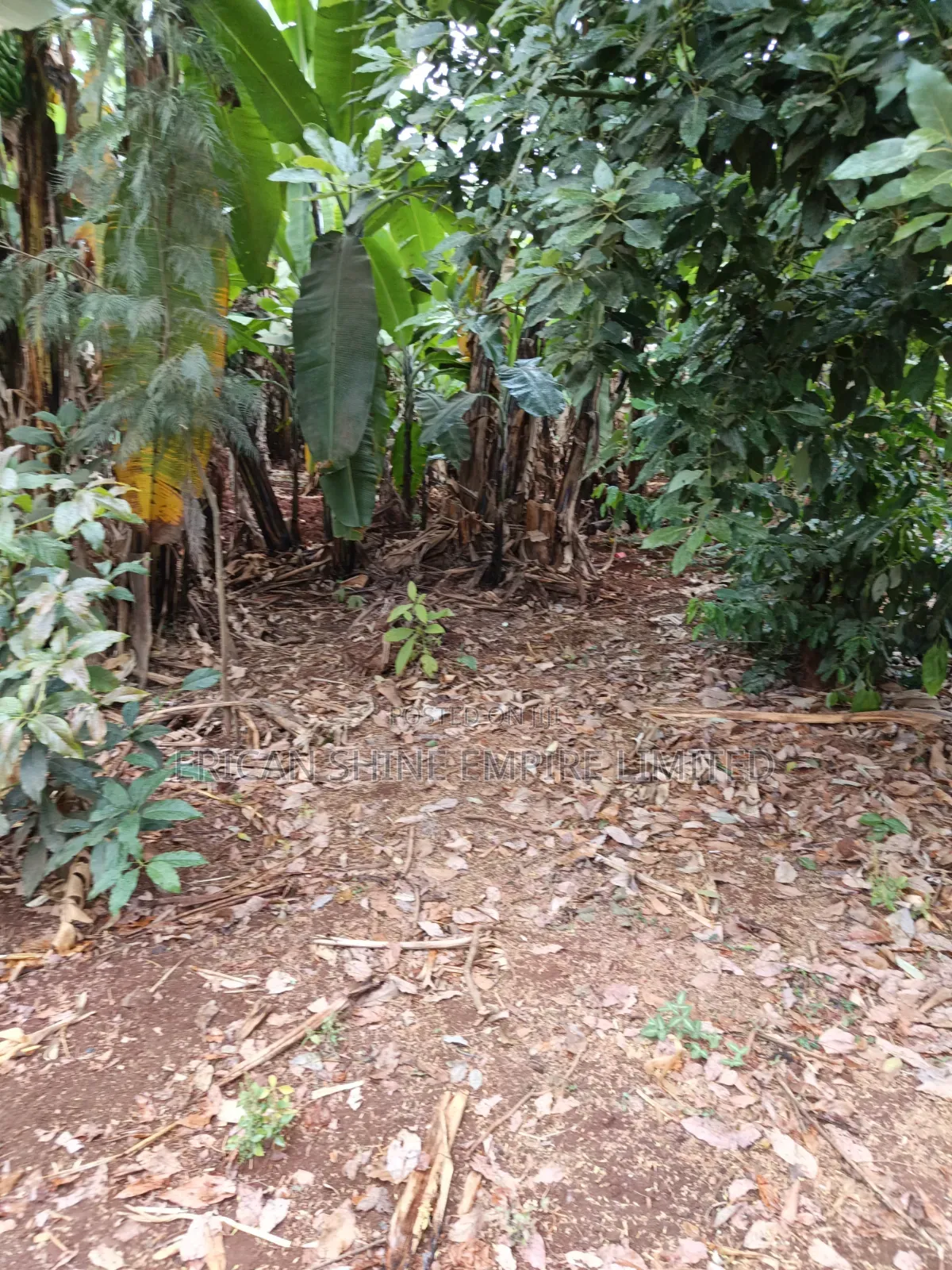 3/4 Prime Land for Lease in Thindigua/Kasarini