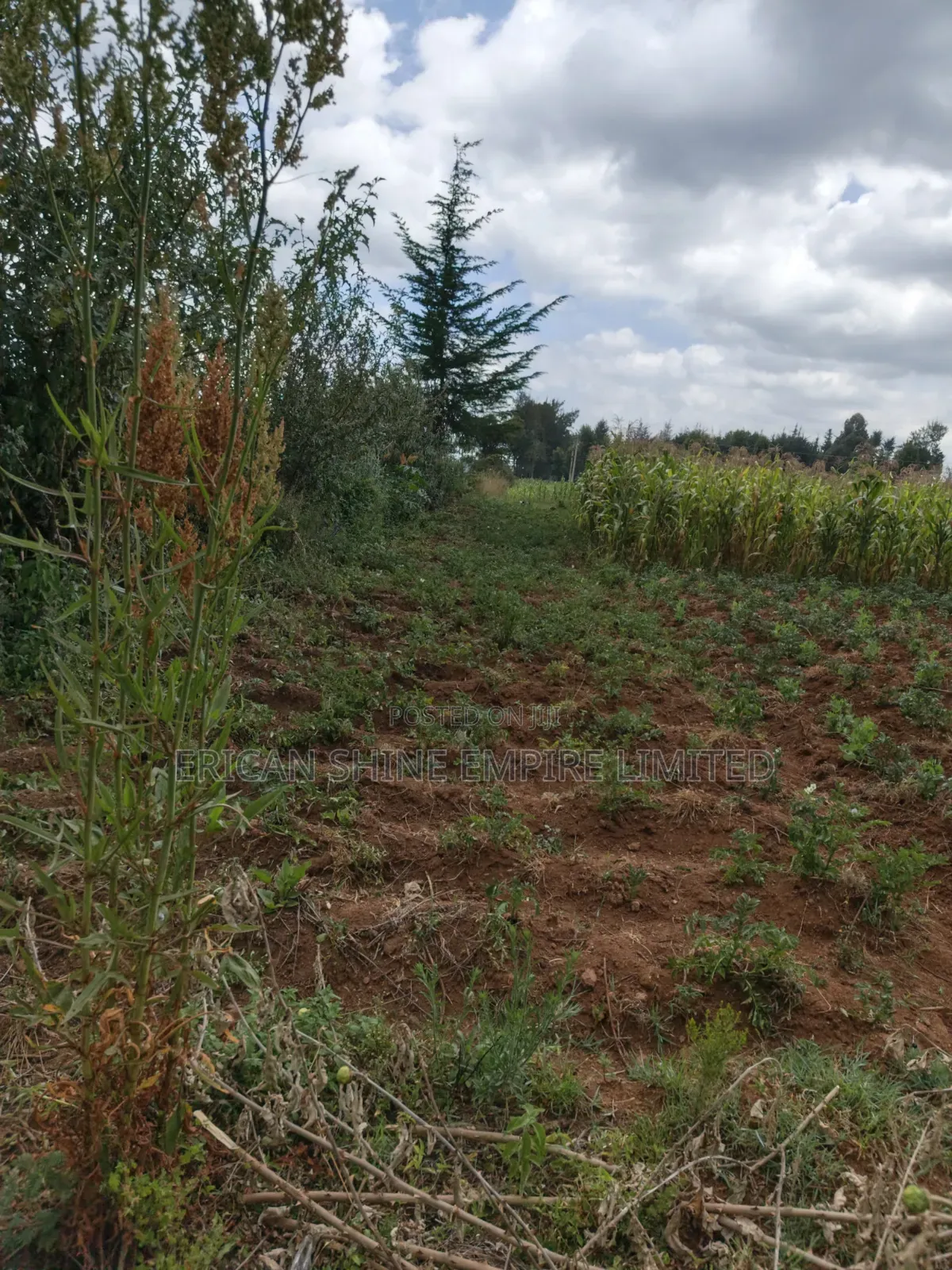 1.5prime Land for Lease in Nyahururu Highway in Rurii