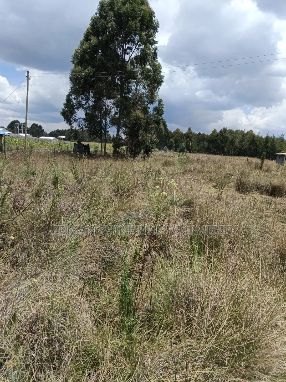 10 Prime Land for Sale in Kasuku Nyahururu in Rurii