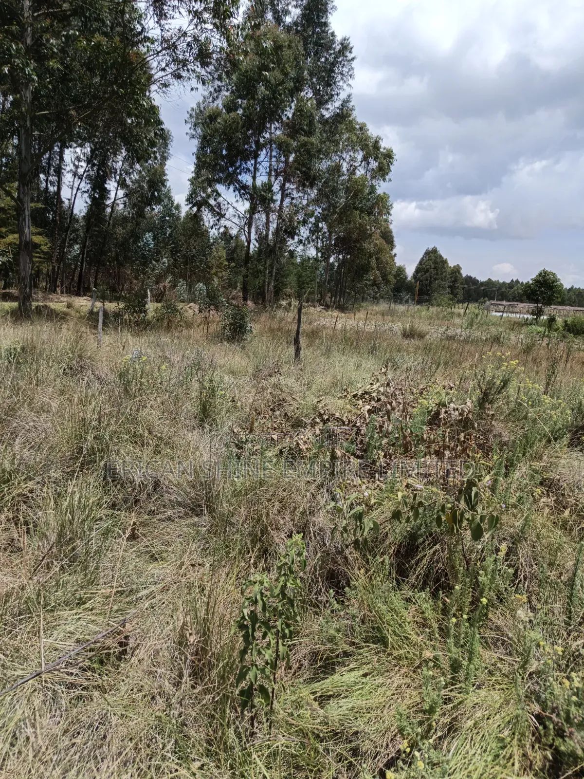 10 Prime Land for Sale in Kasuku Nyahururu in Rurii