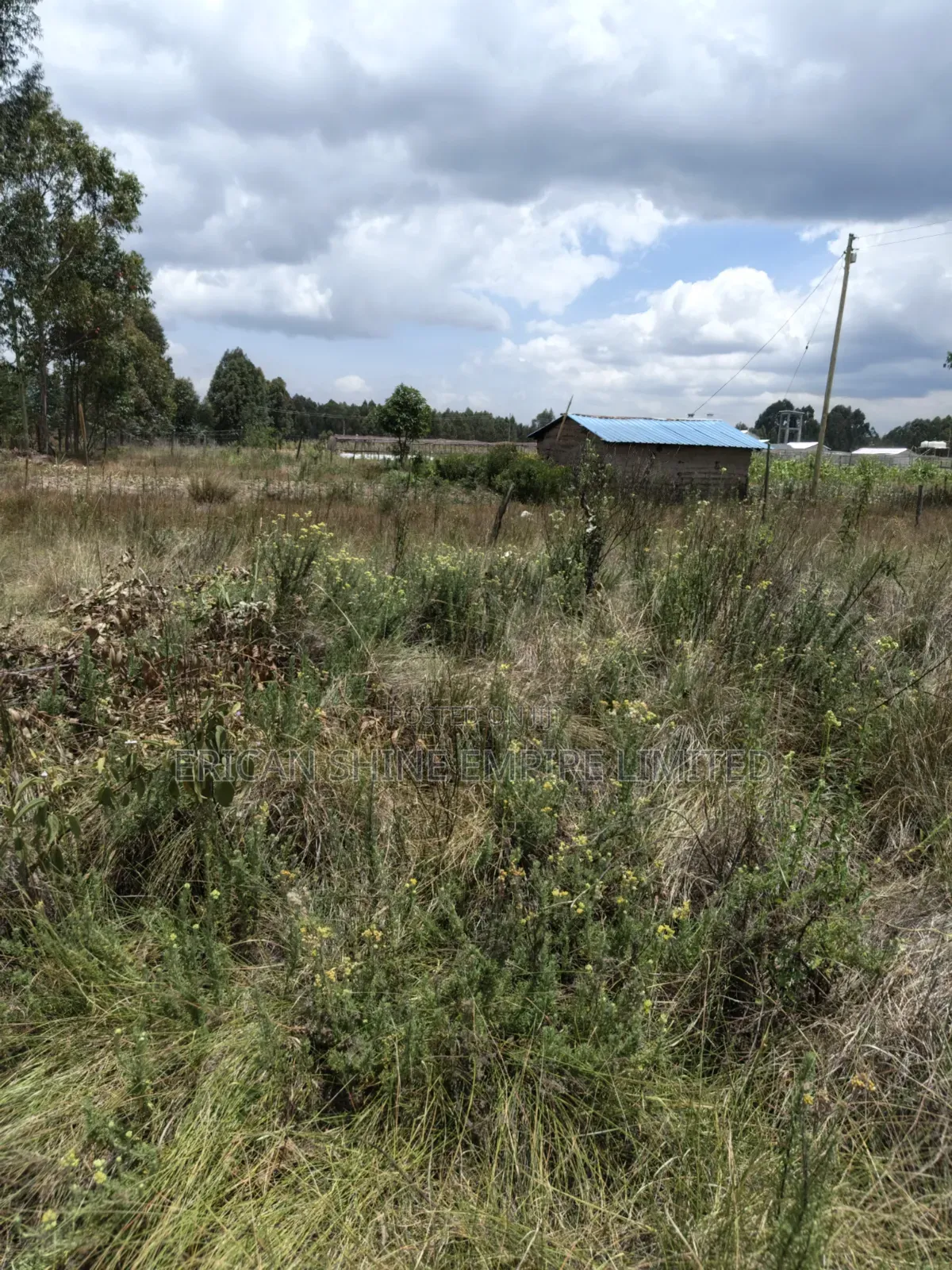 10 Prime Land for Sale in Kasuku Nyahururu in Rurii
