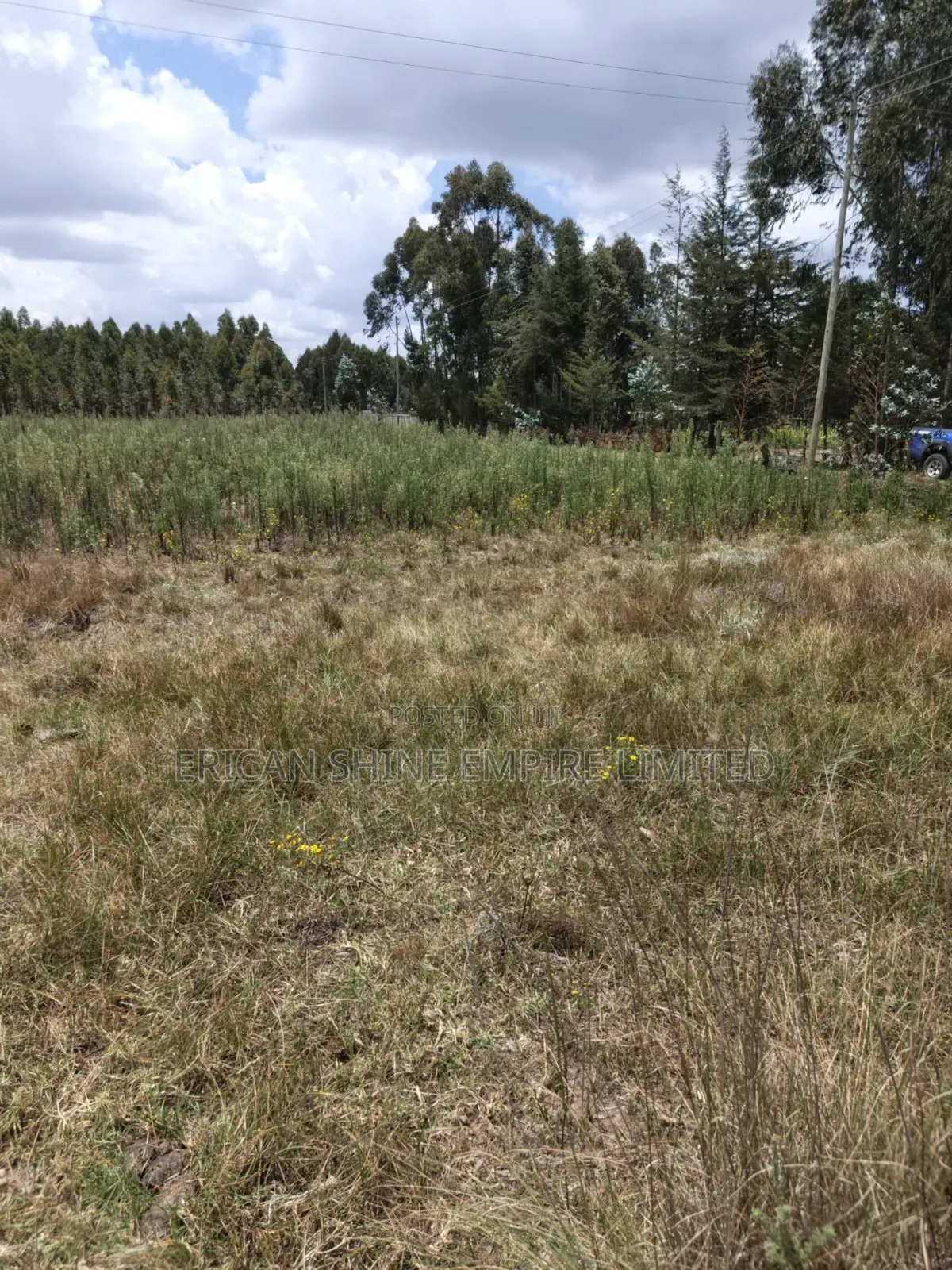 10 Prime Land for Sale in Kasuku Nyahururu in Rurii