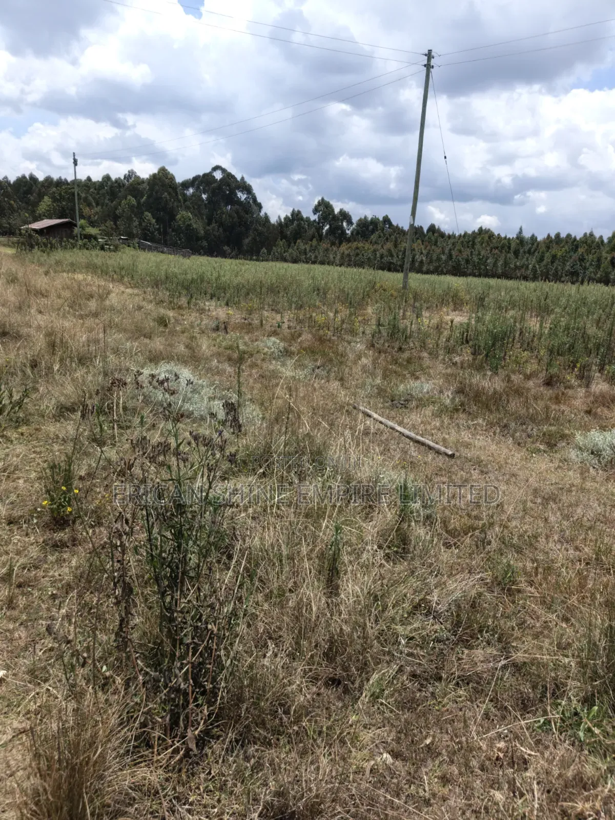 10 Prime Land for Sale in Kasuku Nyahururu in Rurii