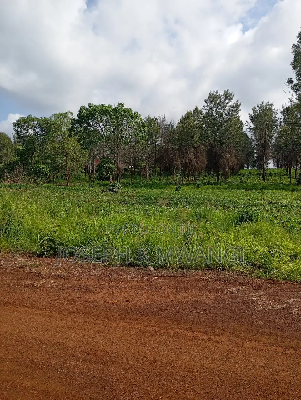Thika Greens Phase 3 High Class Residential 1⁄4 Plots in Mugumo-Ini