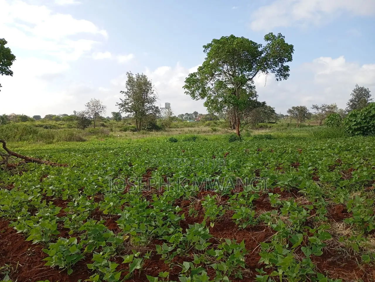 Thika Greens Phase 3 High Class Residential 1⁄4 Plots in Mugumo-Ini