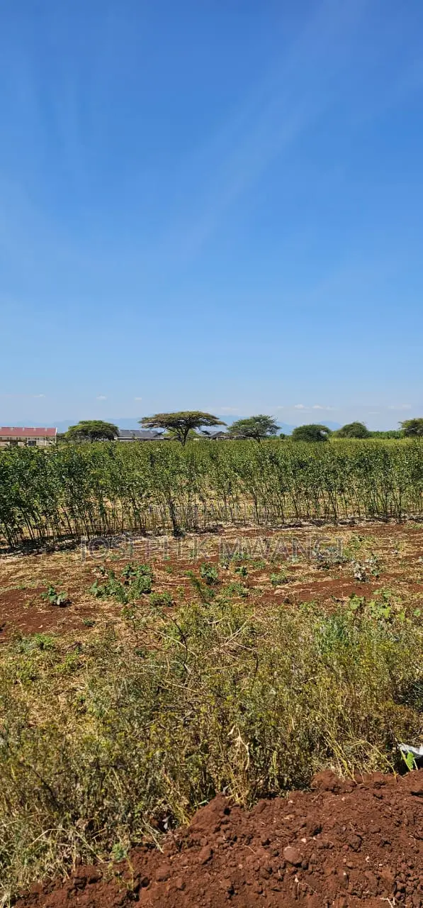 7 Acres Along Meru Ruiri Isiolo Rd Touching Tarmac in Timau