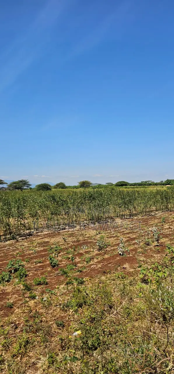 7 Acres Along Meru Ruiri Isiolo Rd Touching Tarmac in Timau