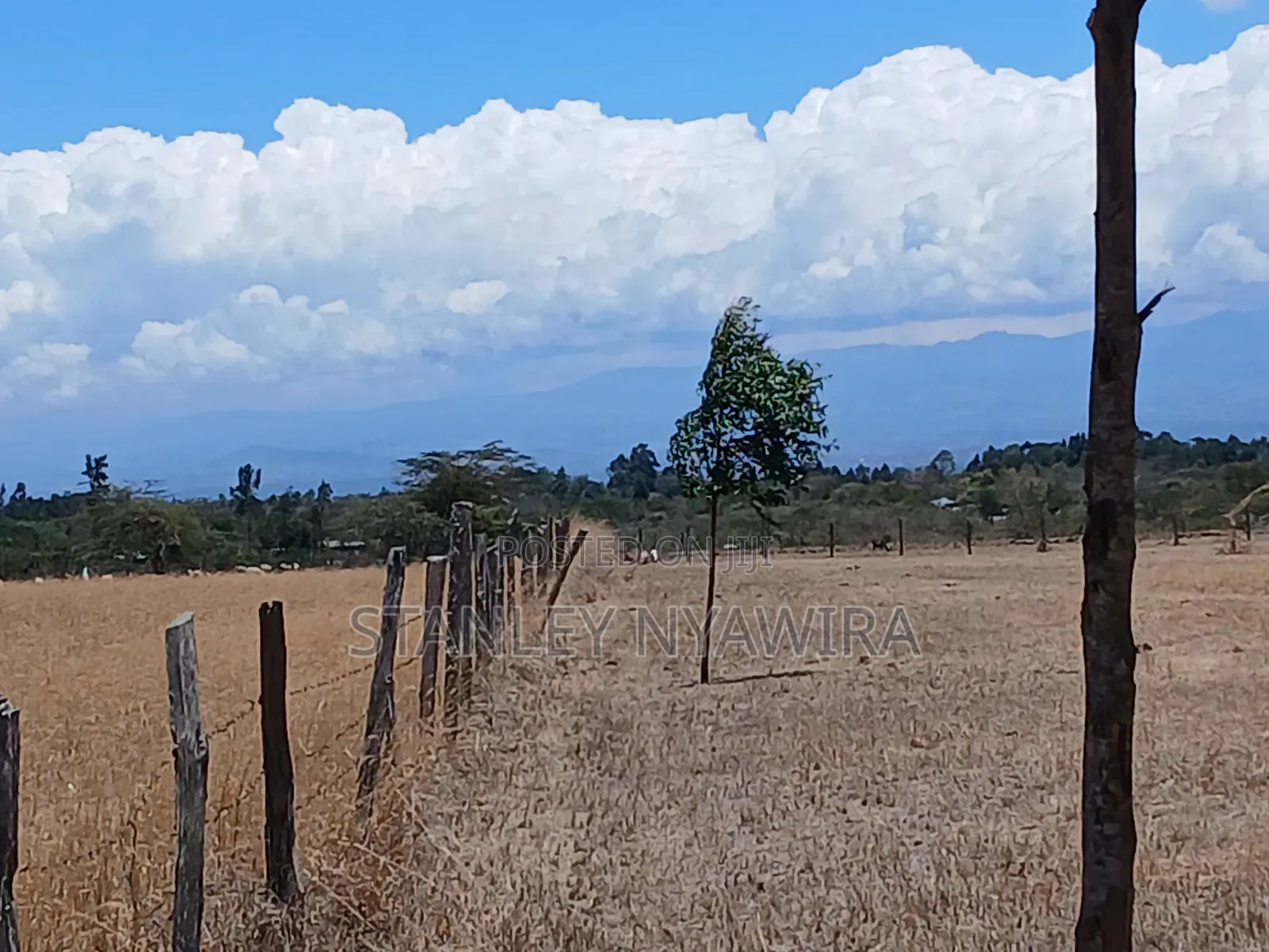 Distress Sale 4 Acrea Nanyuki Burgret in Nanyuki
