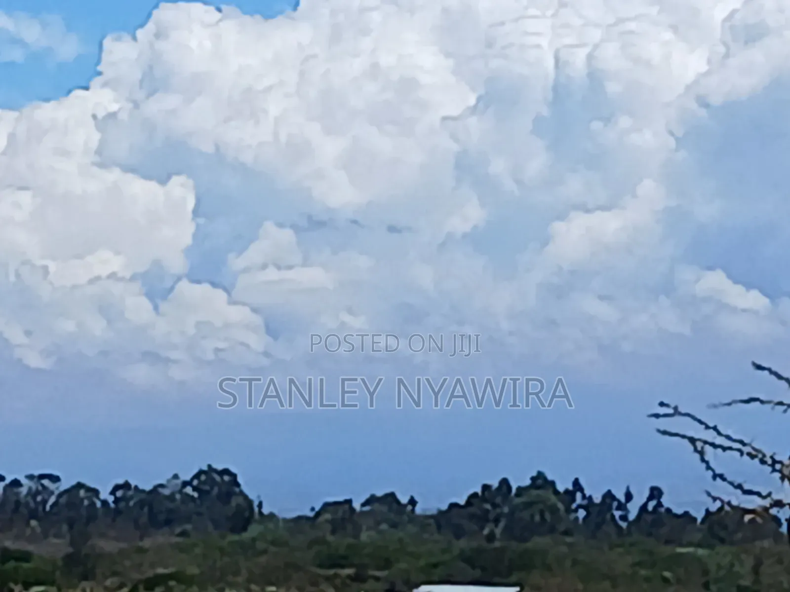 Distress Sale 4 Acrea Nanyuki Burgret in Nanyuki
