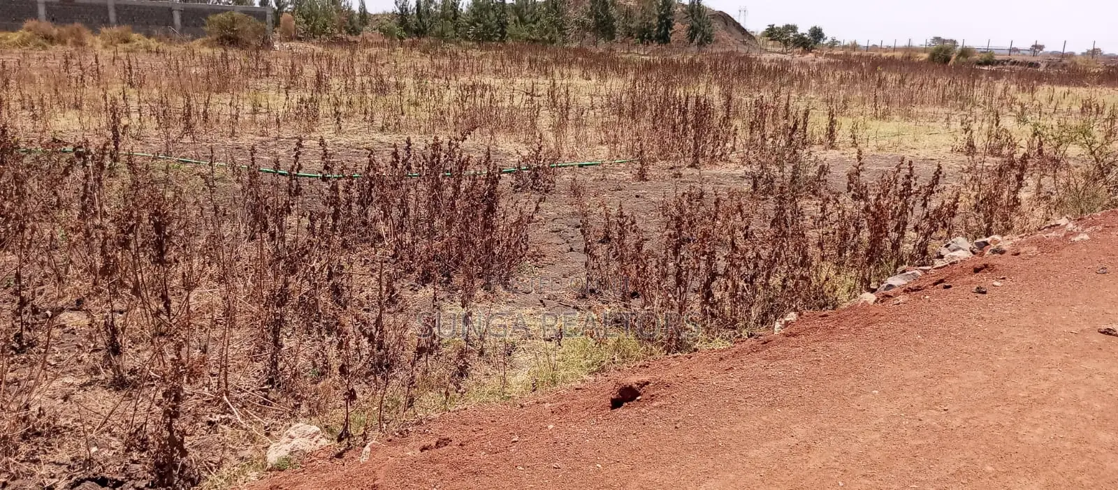 Land for Lease in Eastern Bypass in Ruai