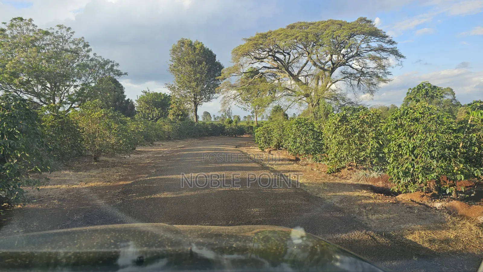 Land for Sale 110 Acres in Kenyatta Road / Theta 