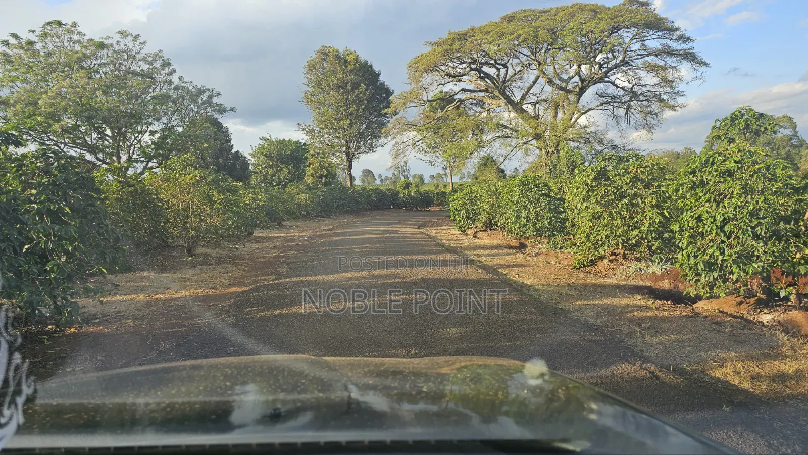 Land for Sale 8 Acres in Tigoni