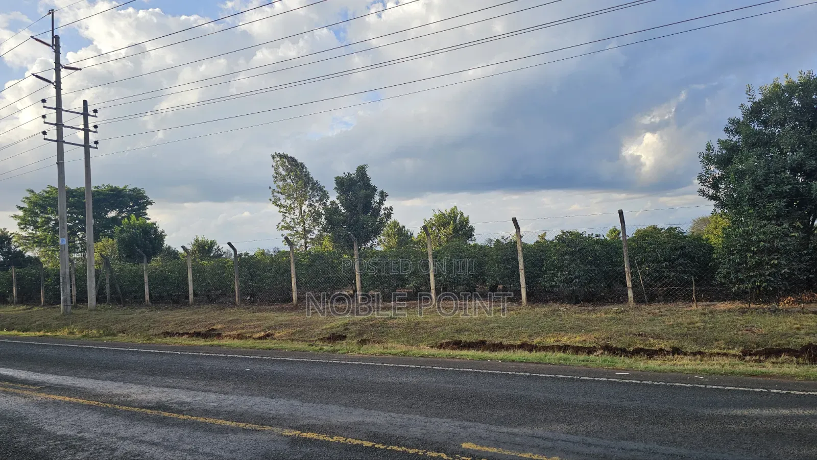 Land for Sale 8 Acres in Tigoni