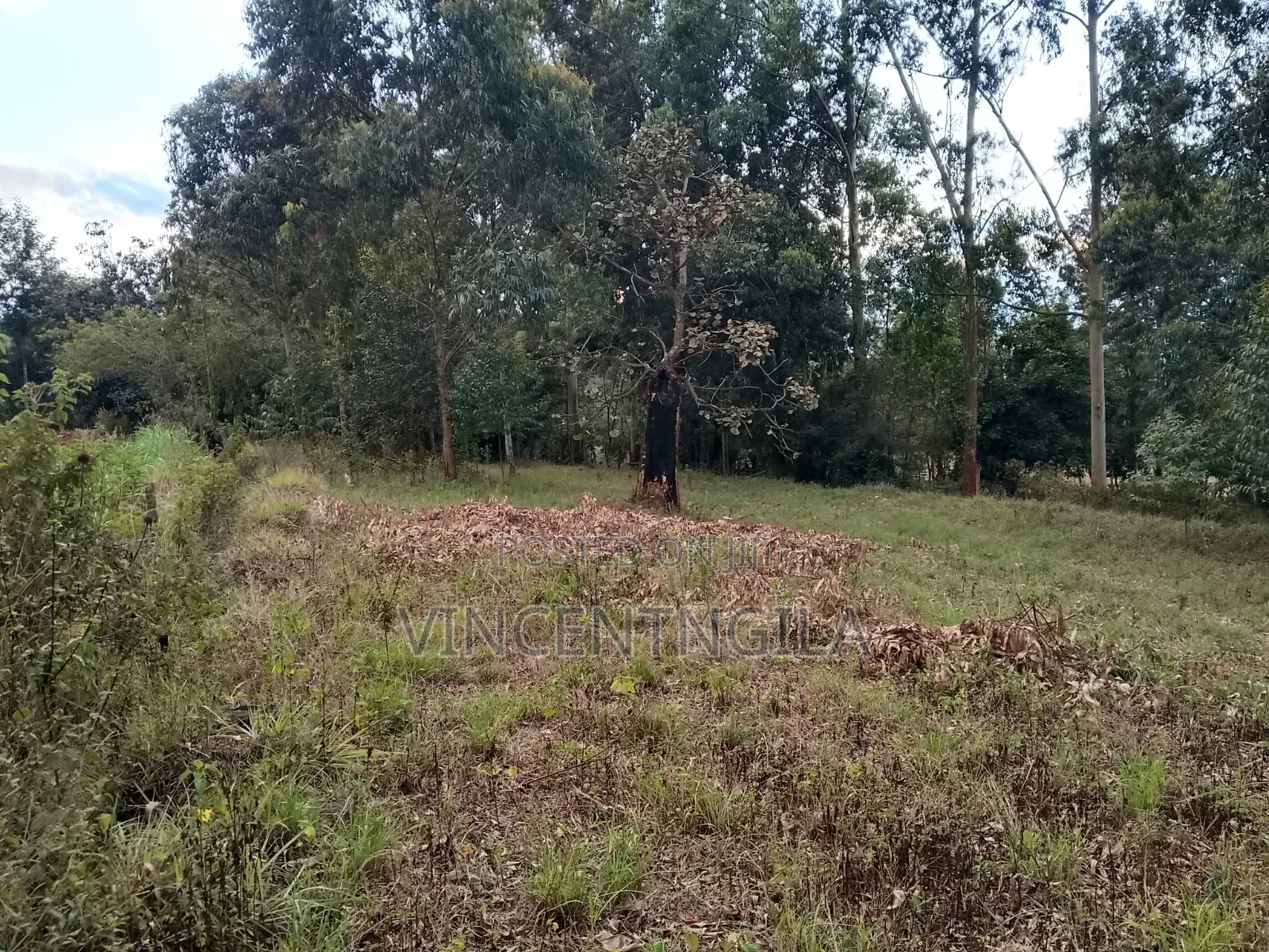 Land for Sale in Mua Hills