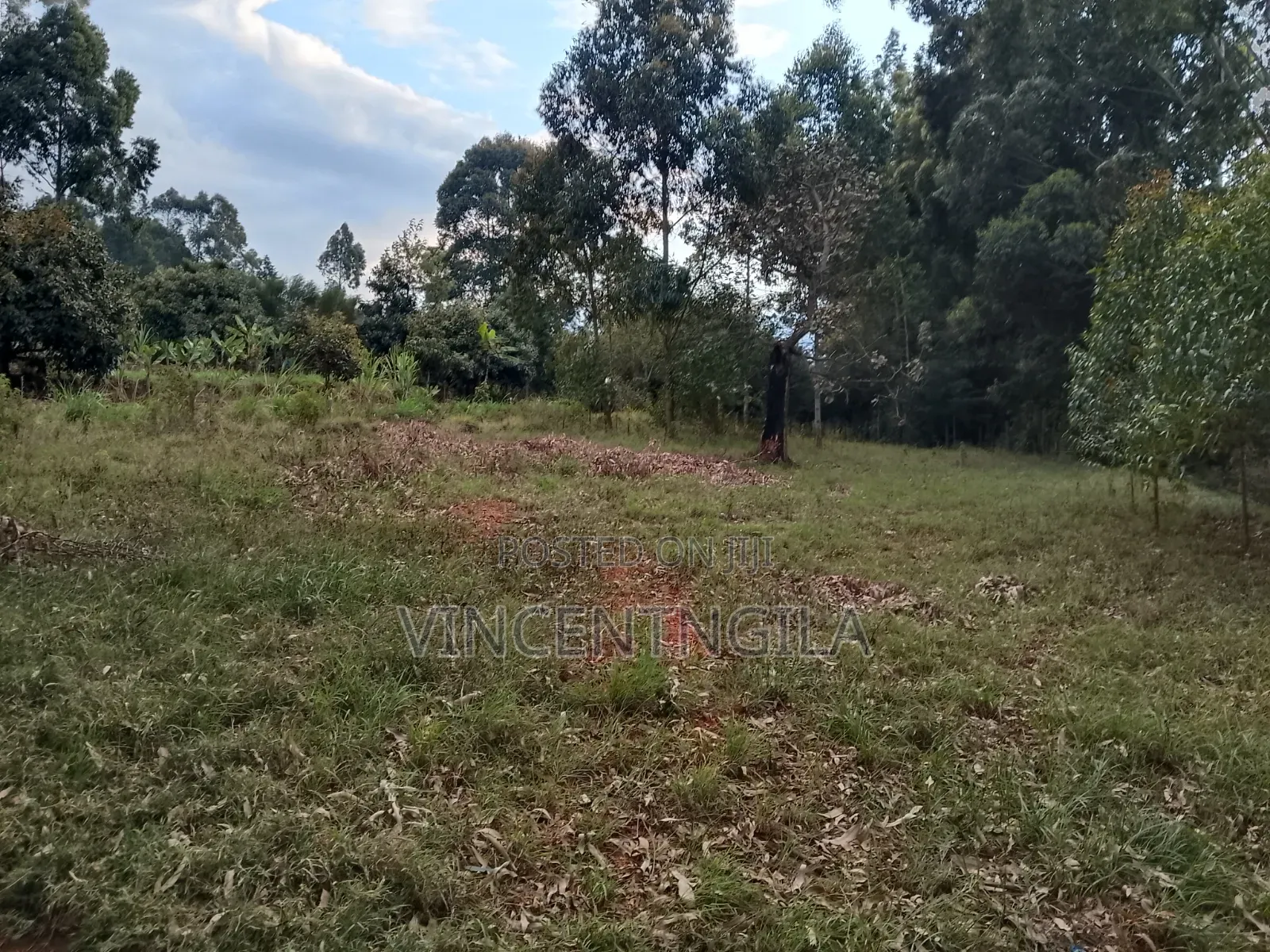 Land for Sale in Mua Hills