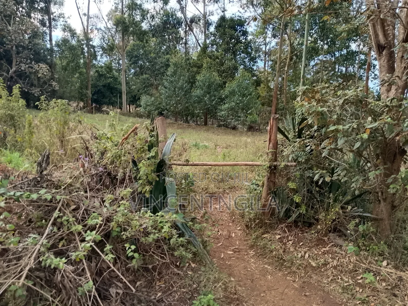 Land for Sale in Mua Hills
