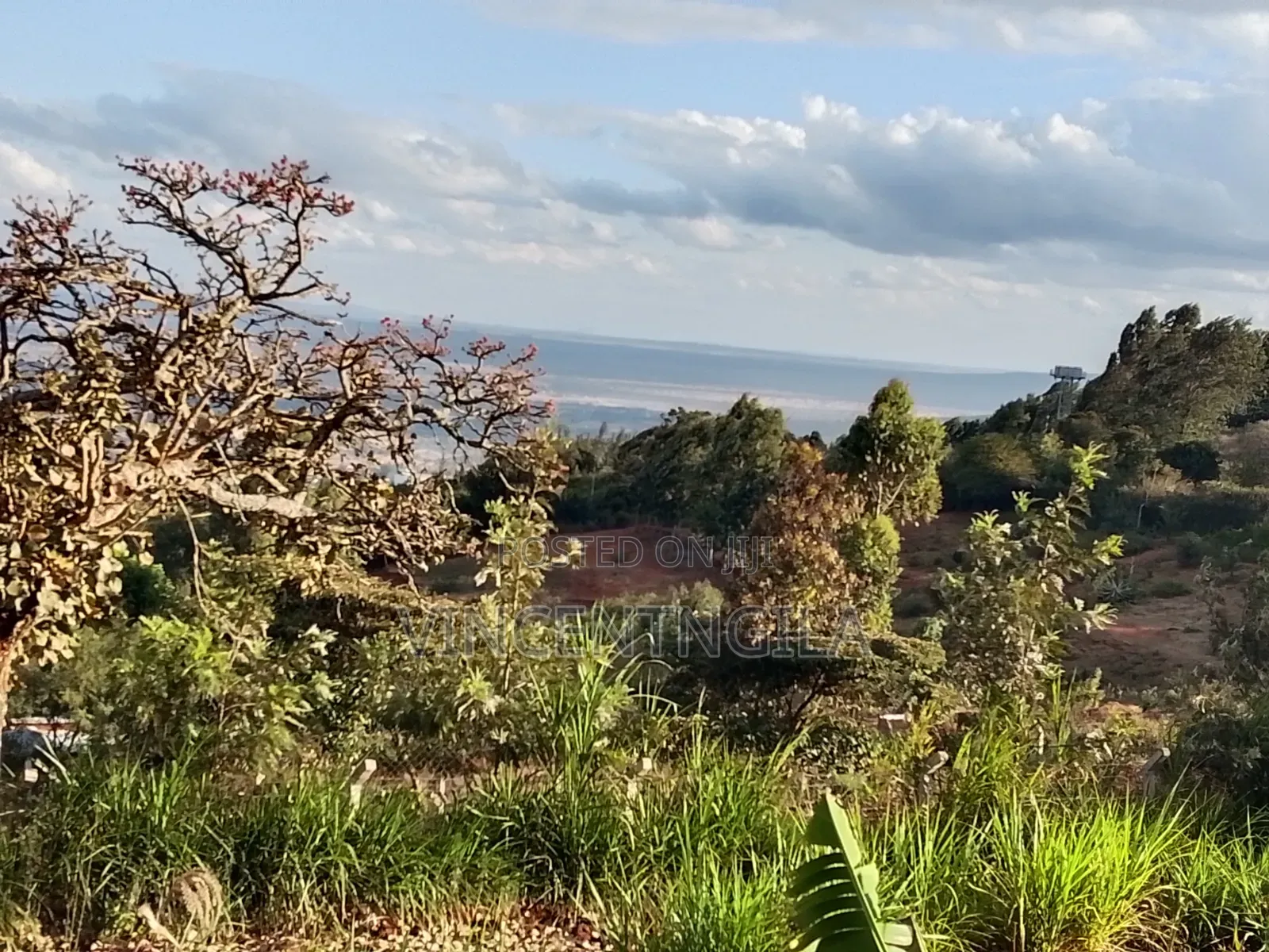Land for Sale in Mua Hills