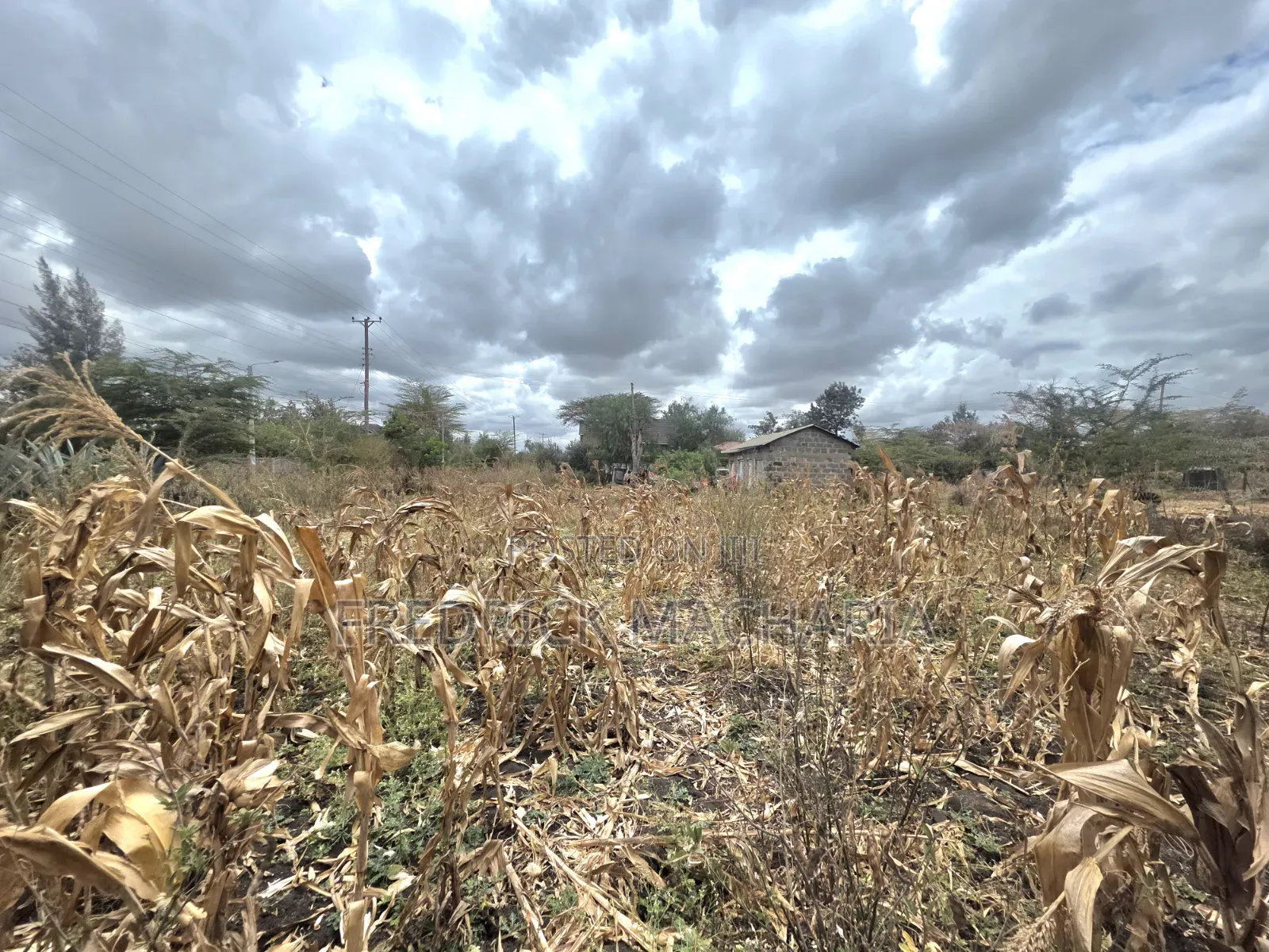 Residential Plot for Sale at Milimani Kitengela in Kitengela
