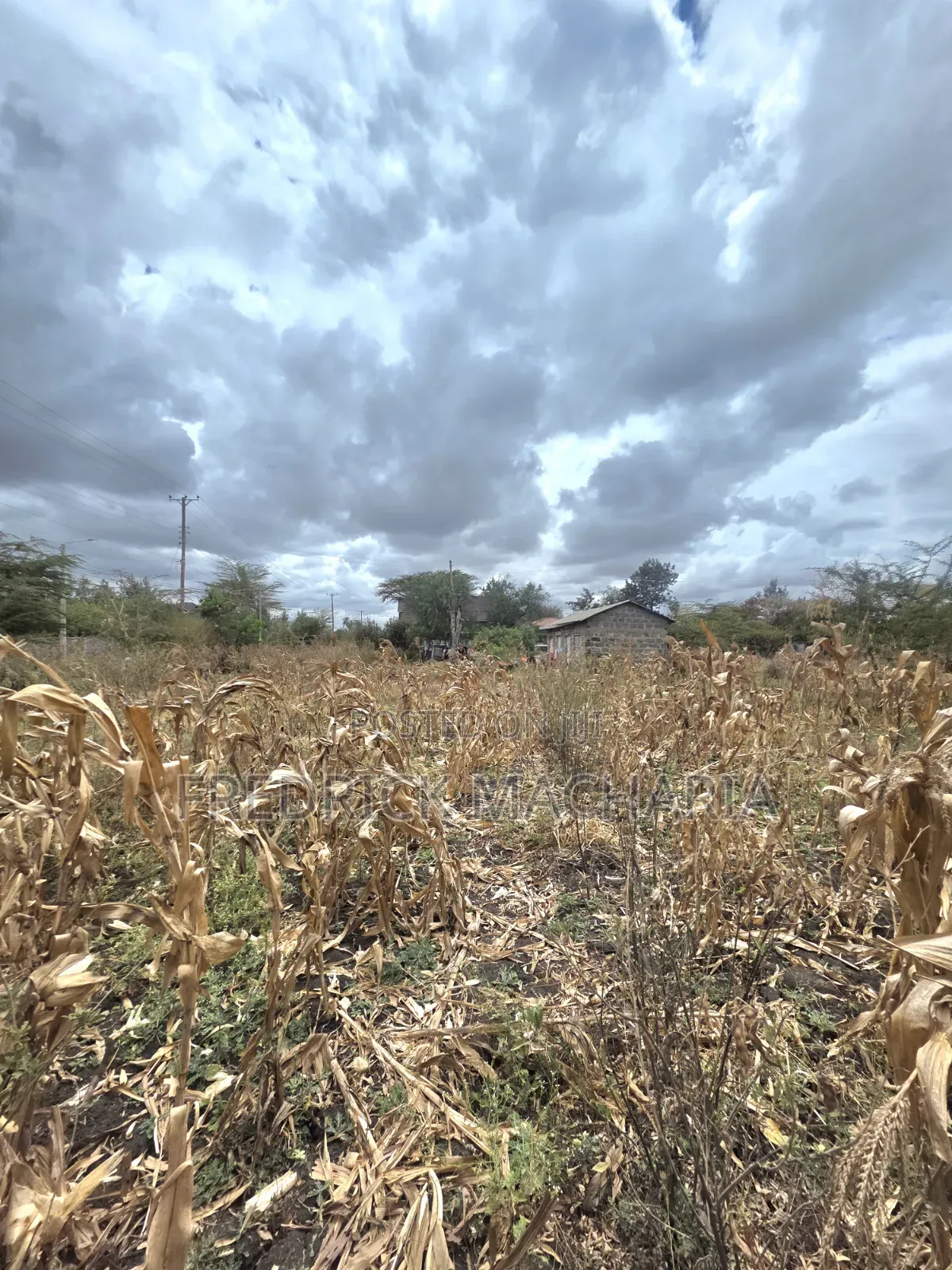 Residential Plot for Sale at Milimani Kitengela in Kitengela