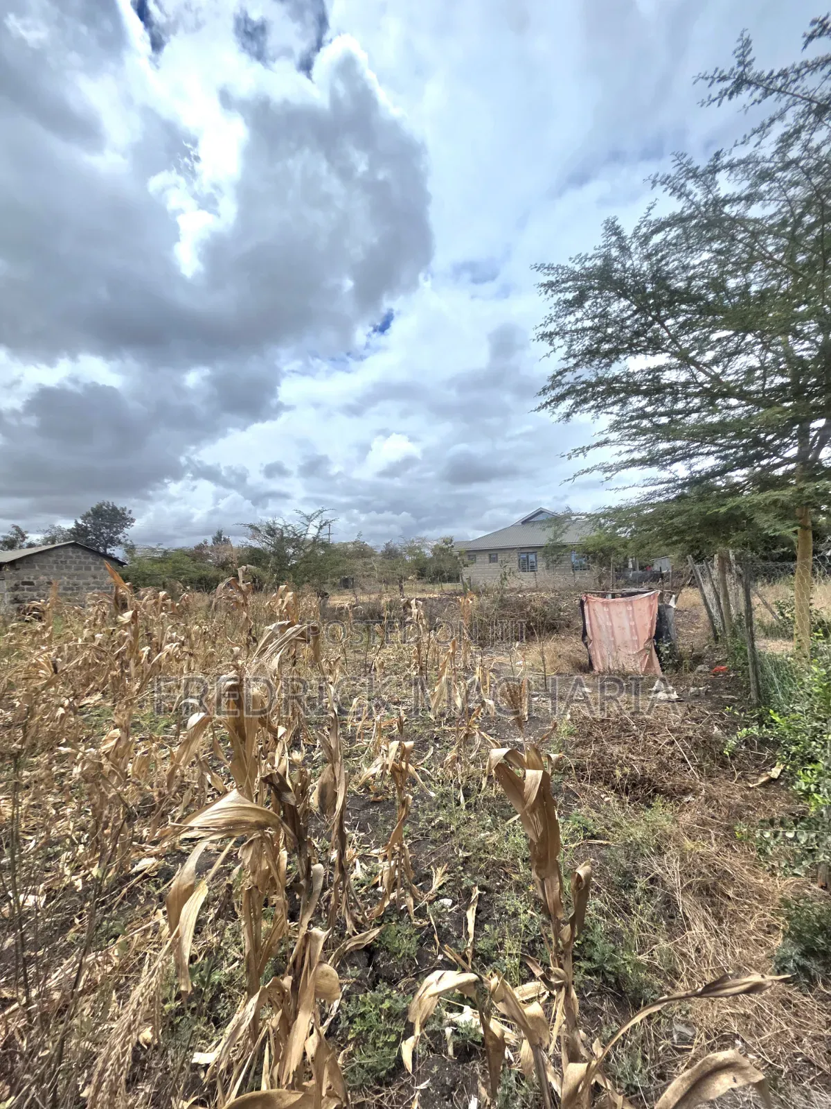 Residential Plot for Sale at Milimani Kitengela in Kitengela
