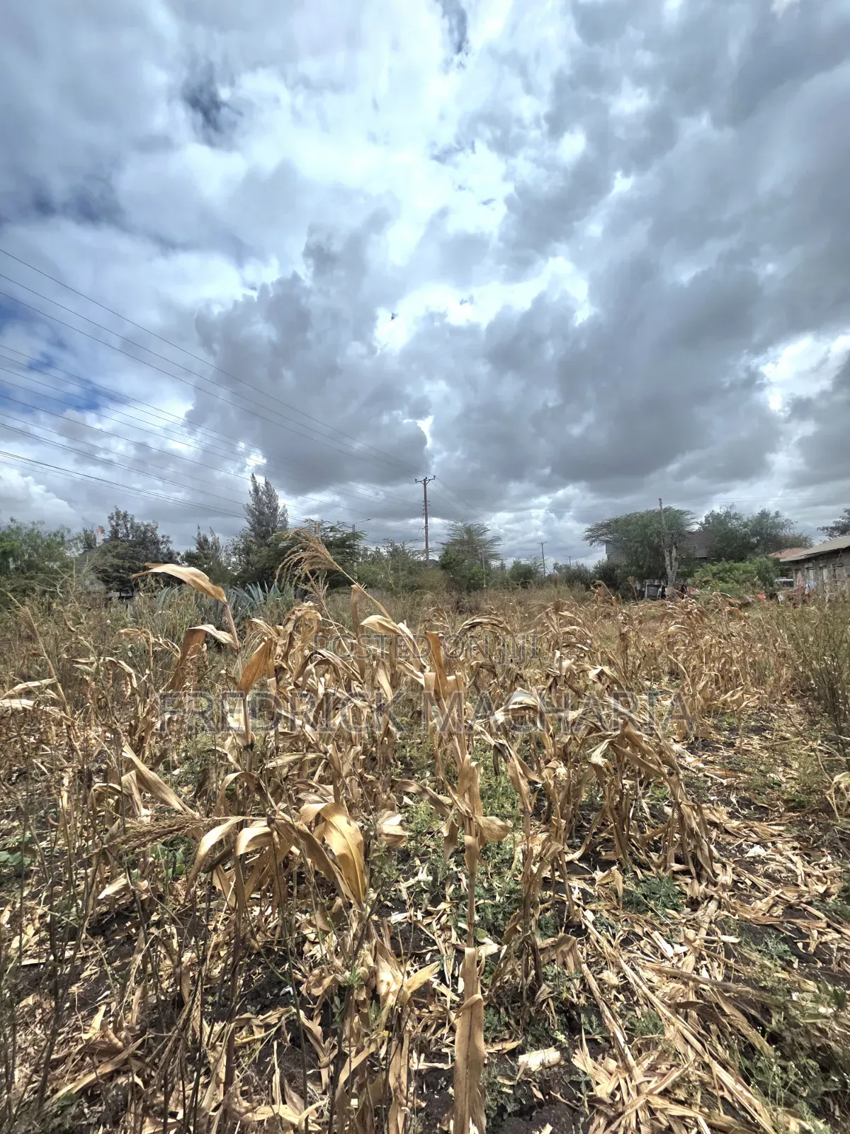 Residential Plot for Sale at Milimani Kitengela in Kitengela