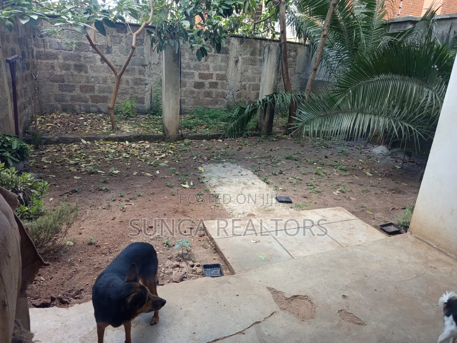 Commercial Property for Rent in Kilimani in Hurlingham