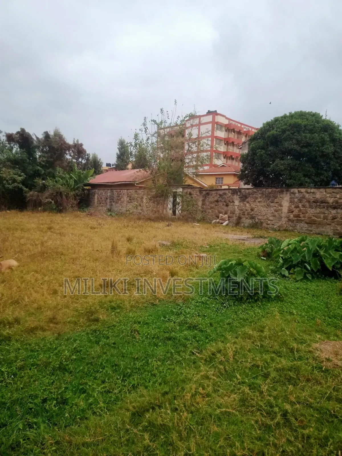 Commercial Half an Land on Sale at Juja -Near JKuat in Gachororo