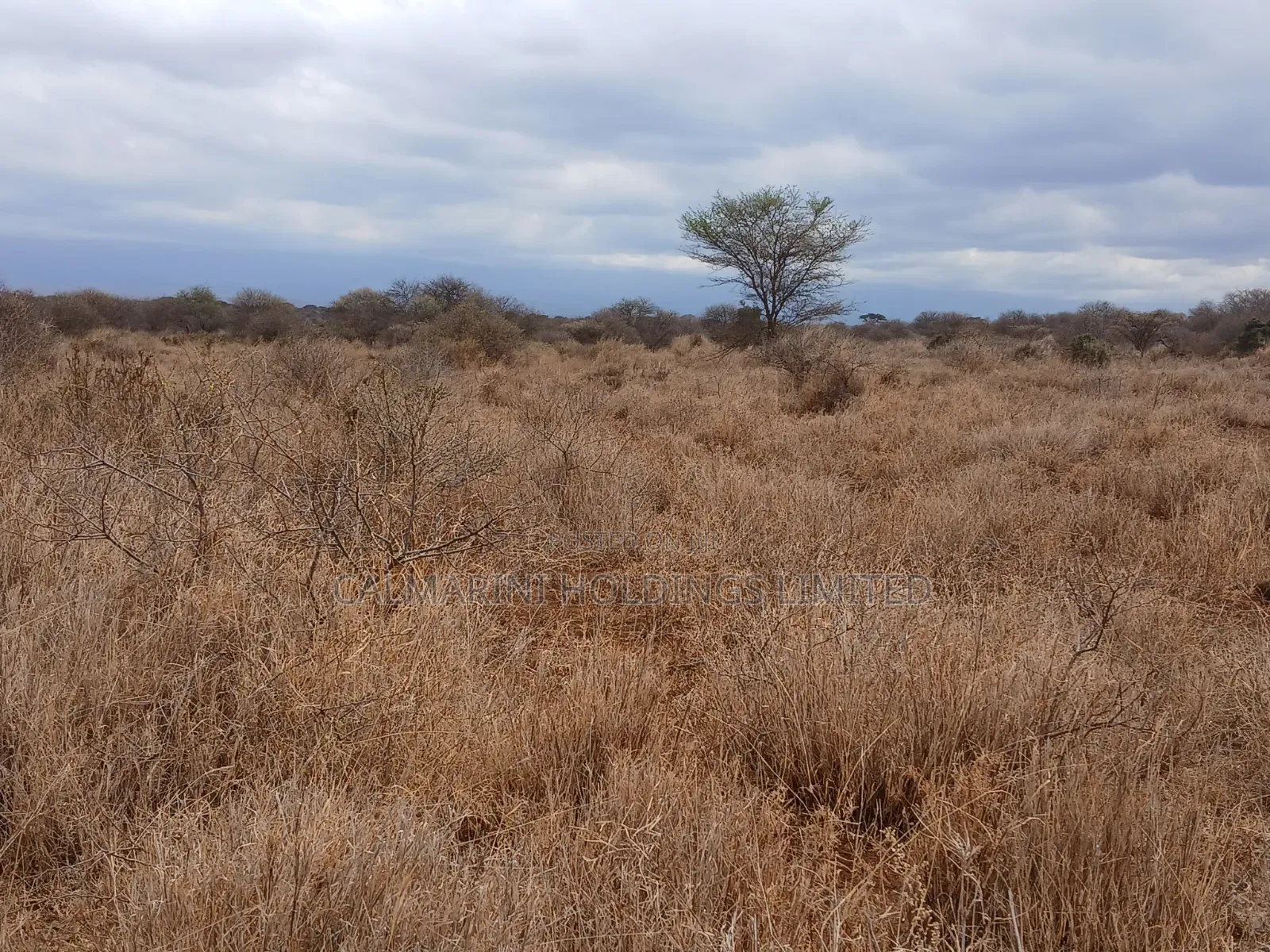 Prime Distress Deal! 58 Acres in Kimana,Amboseli NP Next to Sopa Lodge in Kimana