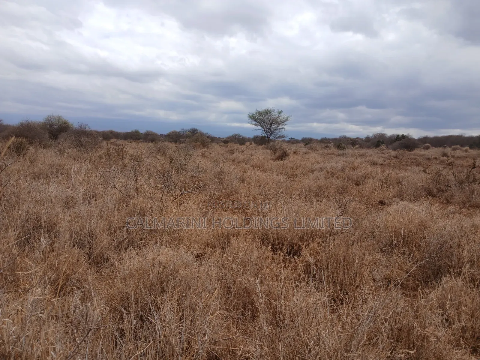 Prime Distress Deal! 58 Acres in Kimana,Amboseli NP Next to Sopa Lodge in Kimana