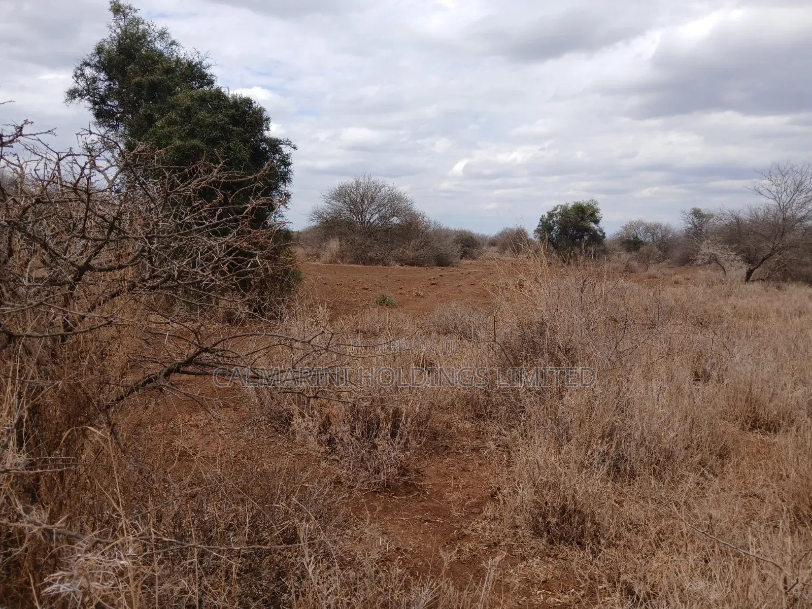 Prime Distress Deal! 58 Acres in Kimana,Amboseli NP Next to Sopa Lodge in Kimana