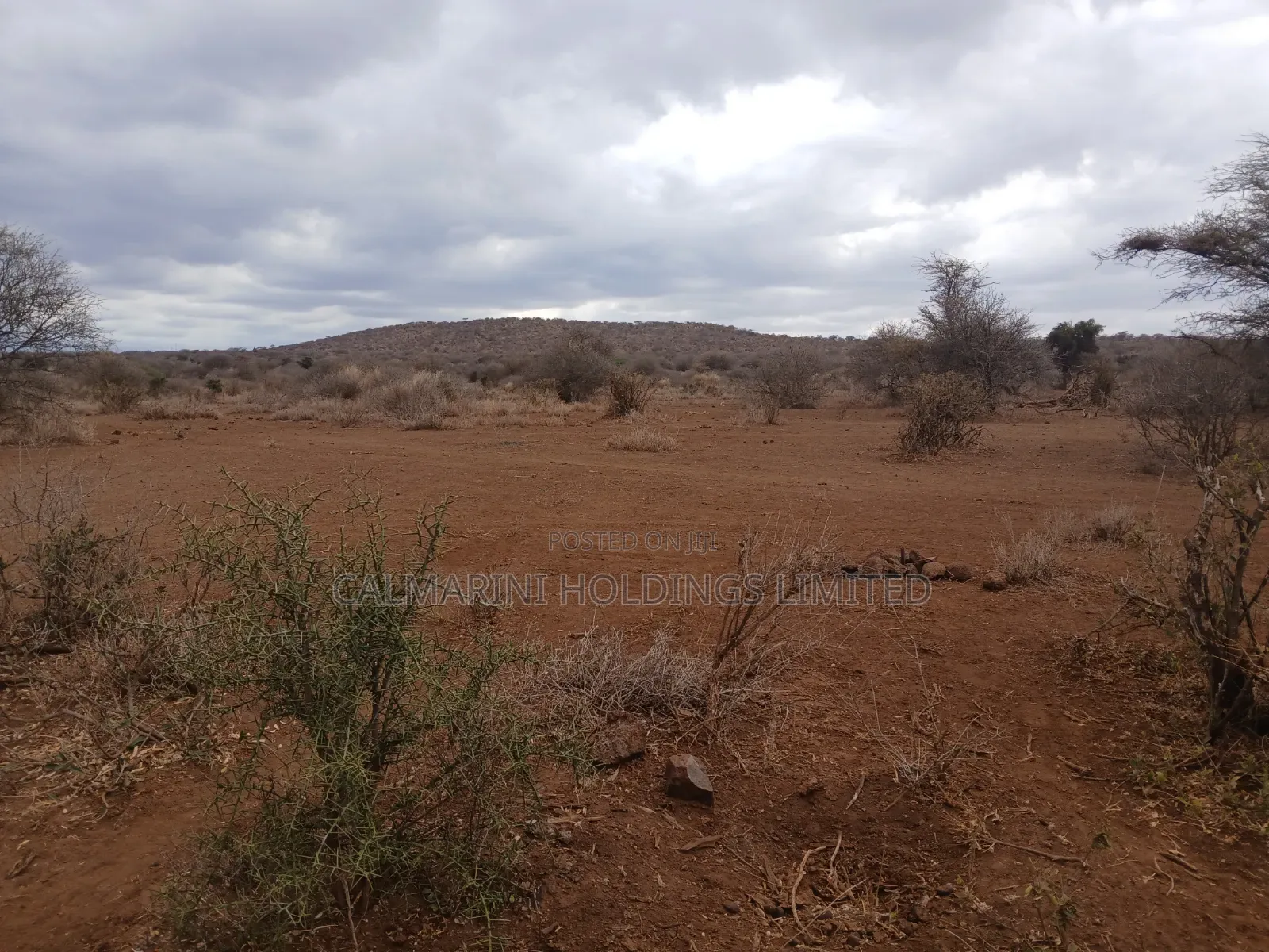 Prime Distress Deal! 58 Acres in Kimana,Amboseli NP Next to Sopa Lodge in Kimana