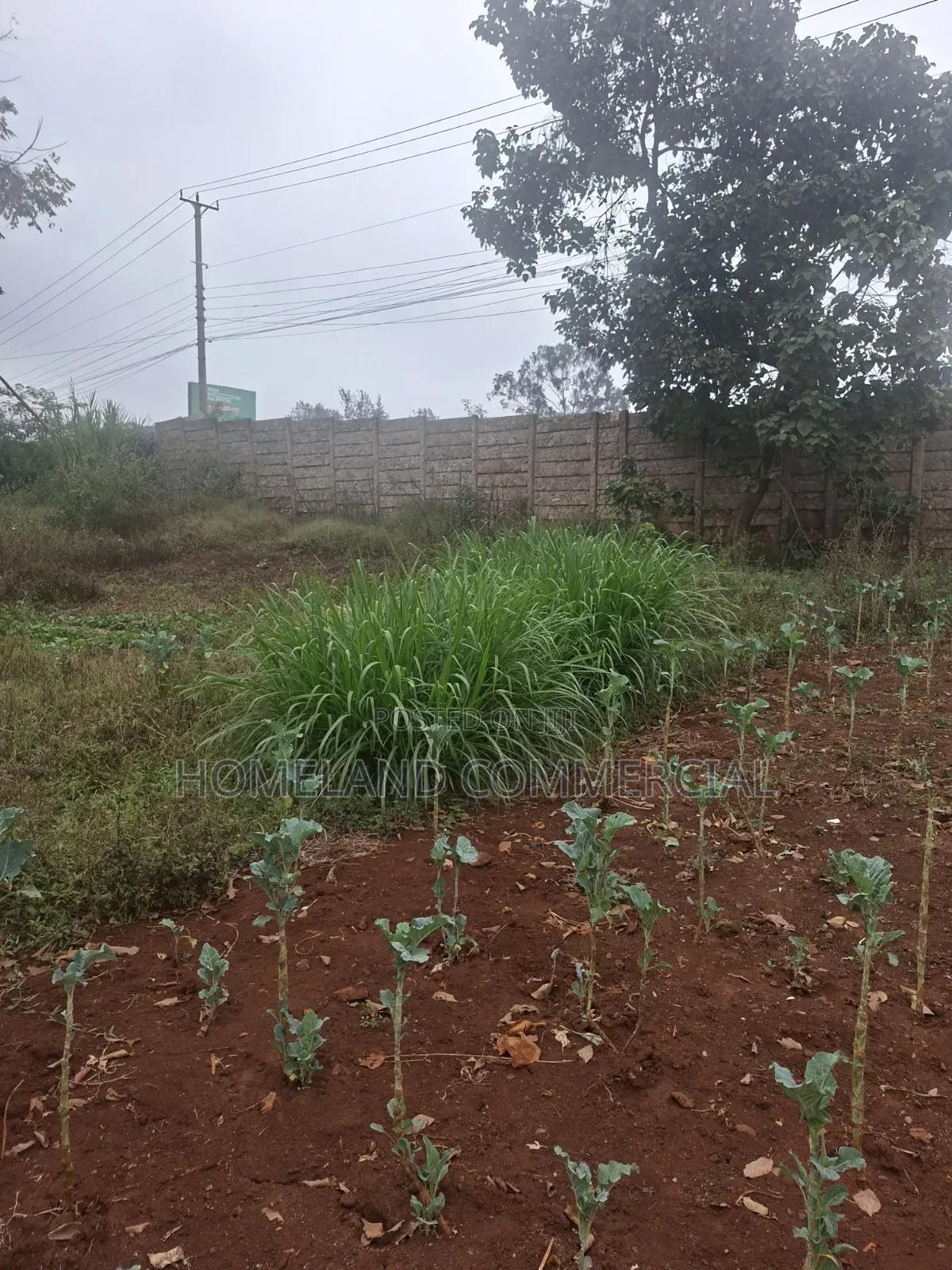 1.5 Acres for Lease. Touching Waiyaki Way in Raphta Road Area