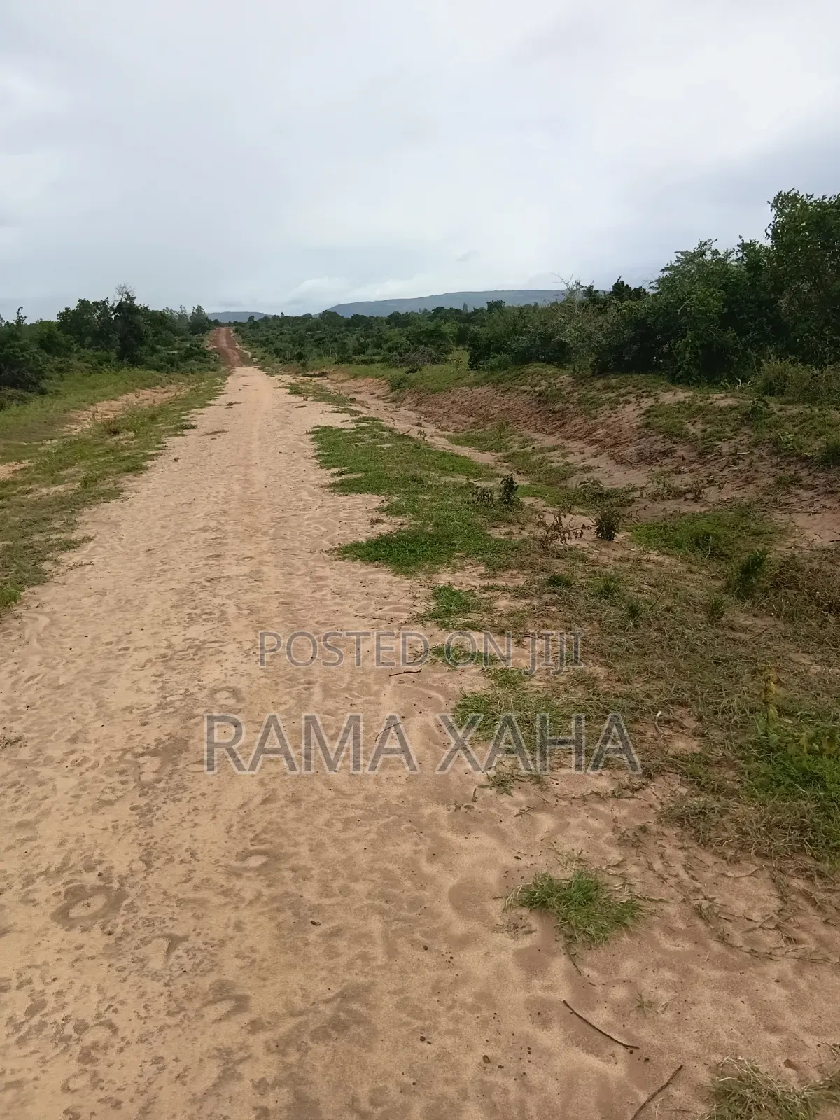 8 Acres Sosobora With Ready Title Dead in Jilore