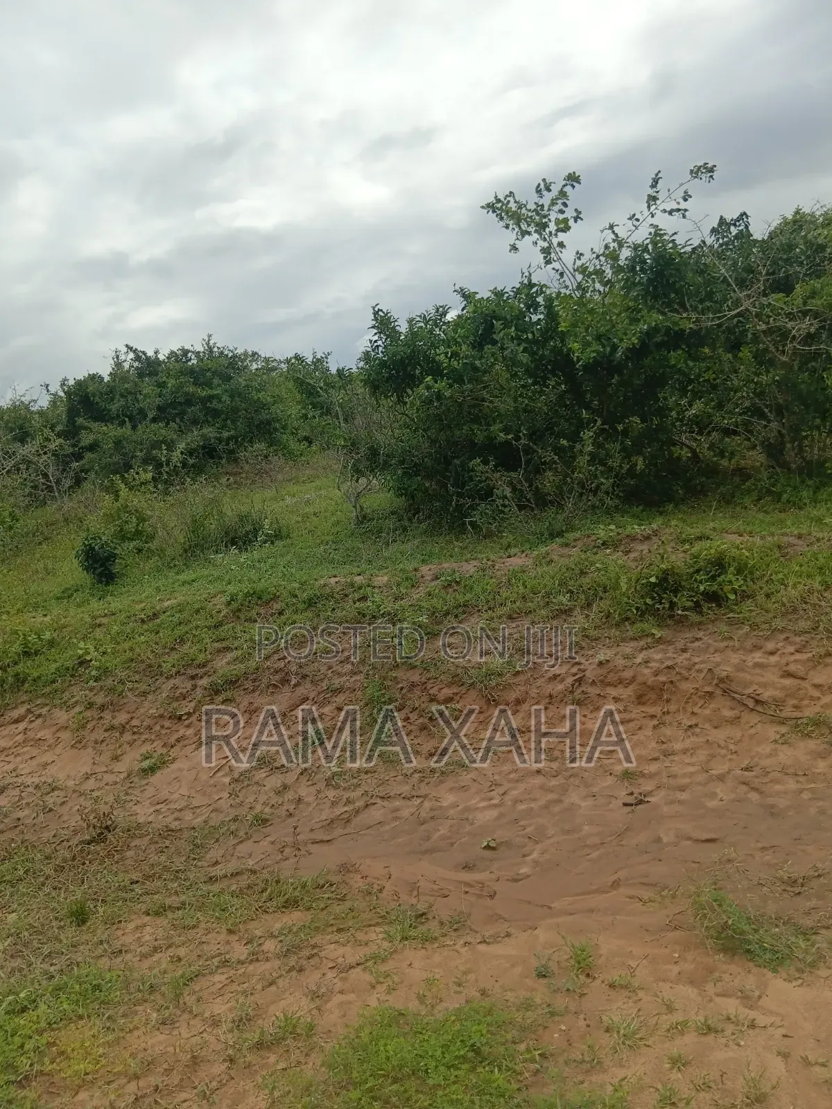 8 Acres Sosobora With Ready Title Dead in Jilore