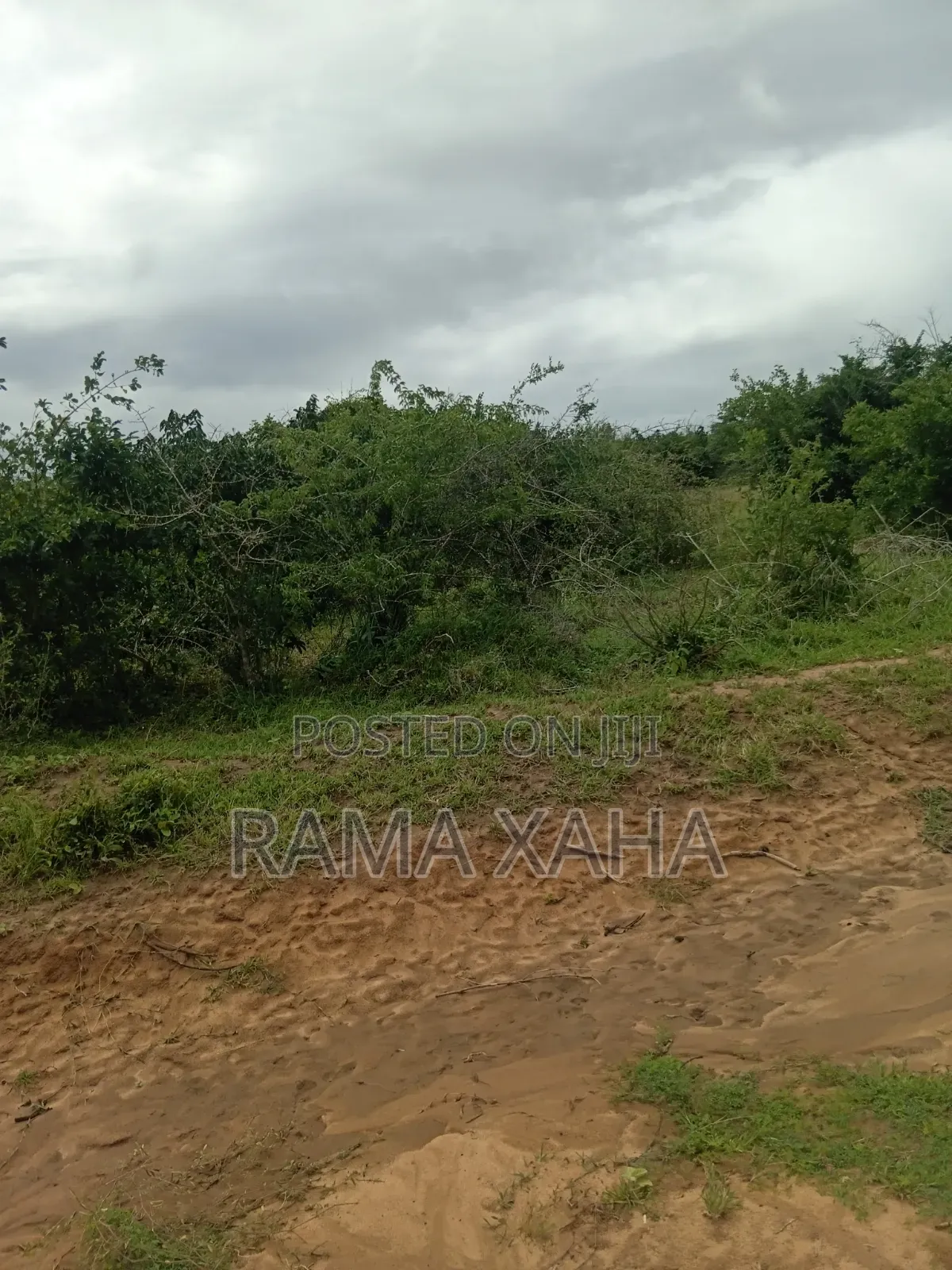 8 Acres Sosobora With Ready Title Dead in Jilore