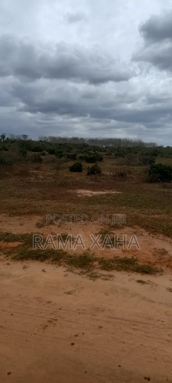 4 Acres With Ready Title Deed for Sale at Sosobora in Jilore