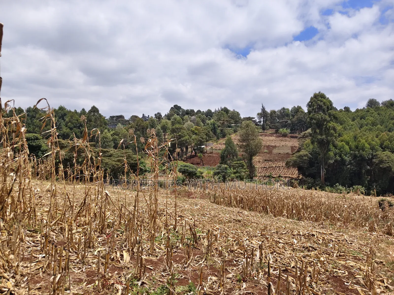 1 Acre of Land for Sale in Kahara, Ngong. in Kangai